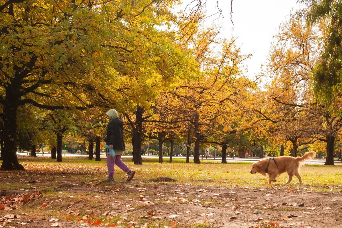 Tucumán se despide de mayo con clima ideal antes del gran cambio de junio